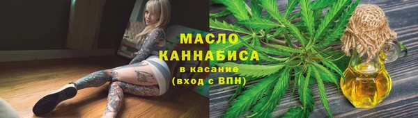 мдпв Пестово