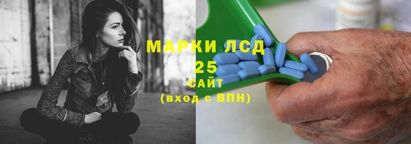 мдпв Пестово