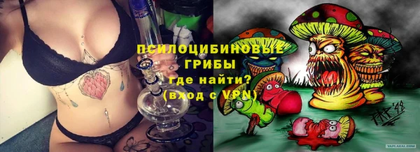 мдпв Пестово
